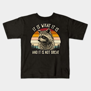 It Is What It Is And It Is Not Great Kids T-Shirt